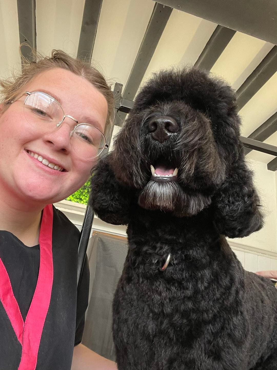 Becky at Dreybury Dog Groomers